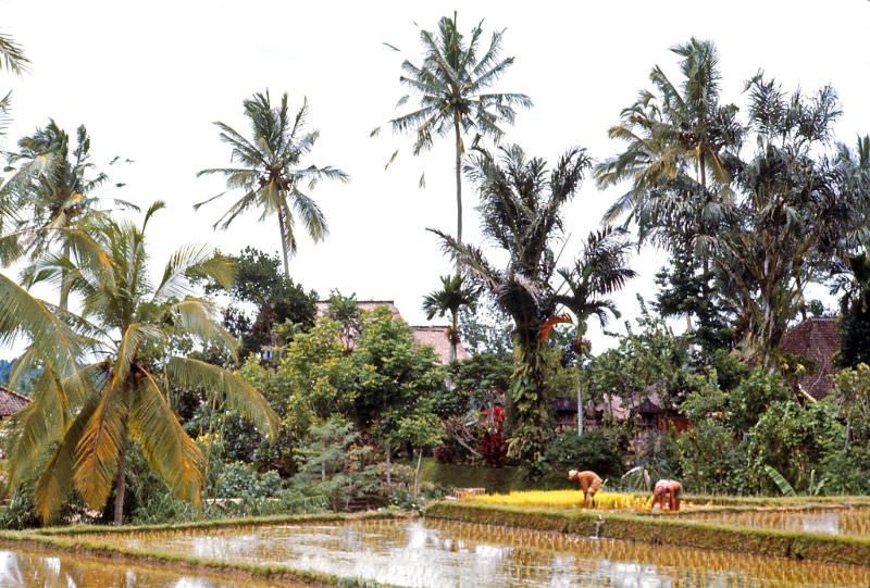 Ubud, Bali, 1970s