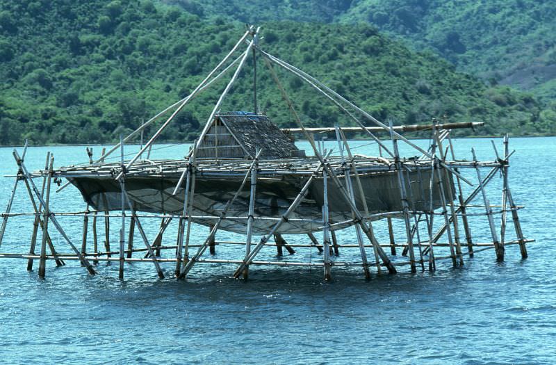Fish trap near Flores island, 1970s