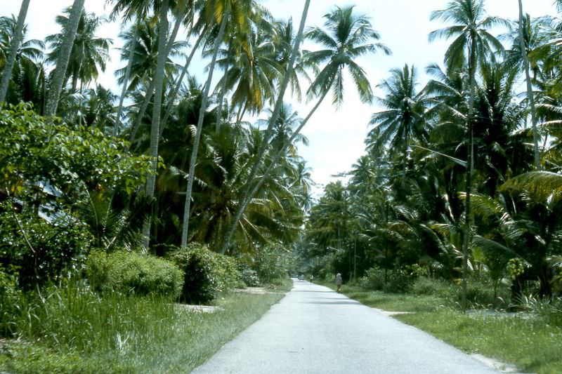Bali rural road, 1970s