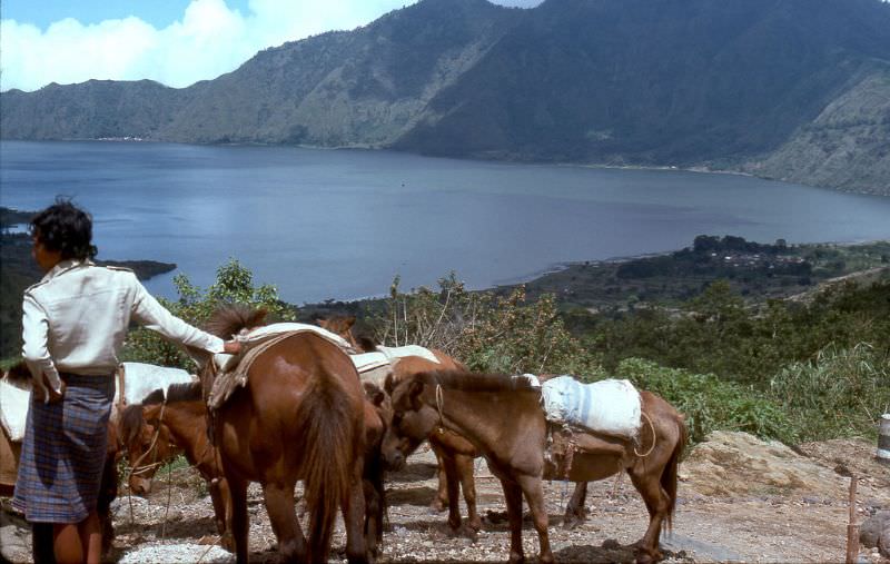 Hawkers and vendors are aggressive at the look-out over Lake Batur, the lake is in the large crater of volcano Mount Batur, 1970s