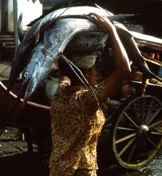 Balinese woman carrying not one but two swordfishes on her head to a market near Kuta one morning, 1970s