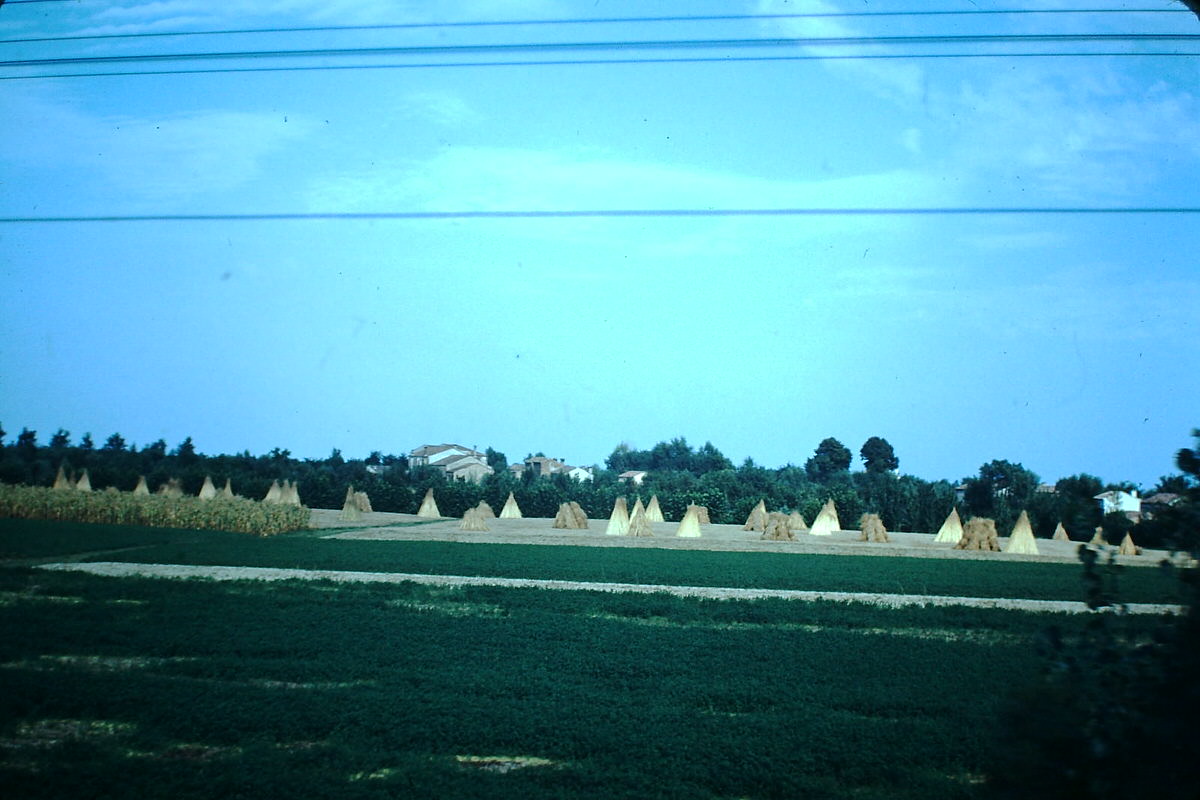 Florence (From Train), Italy, 1954.