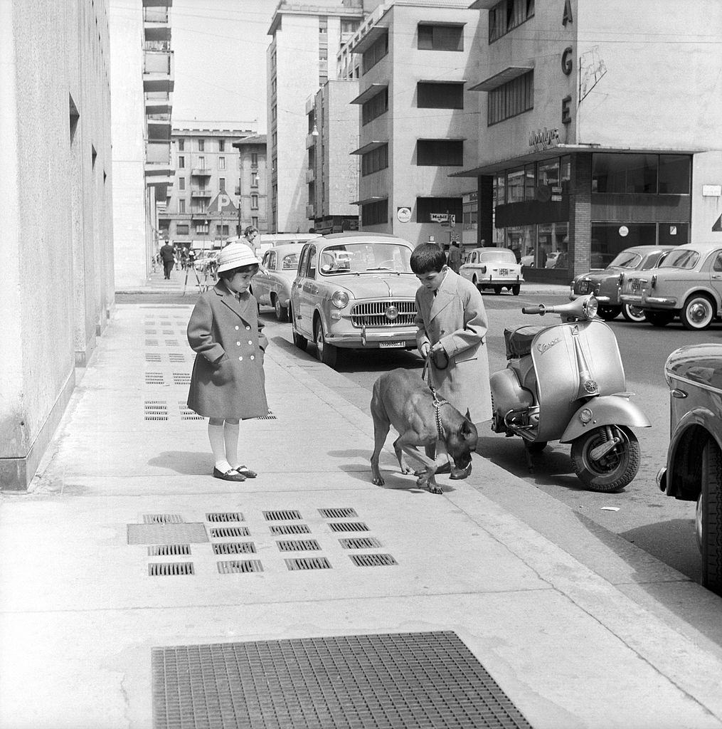 The children of Italian boxer Duilio Loi walking on the pavement keeping a dog on a leash, 1960s.