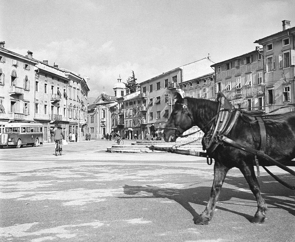 A horse drawing a carriage in a square of Trieste, 1960s.