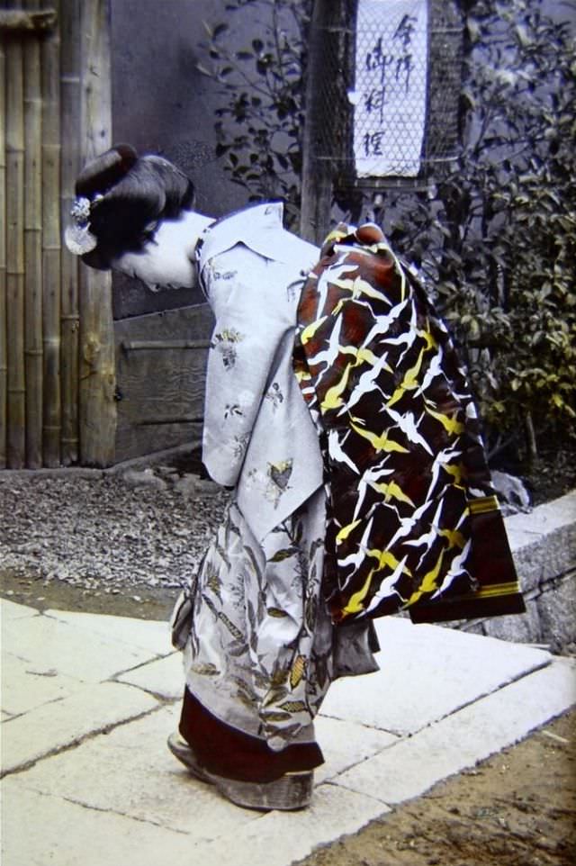 Flying cranes adorn a maiko