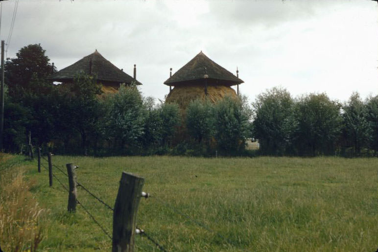 Haystacks with roofs, somewhere in the Netherlands, 1961