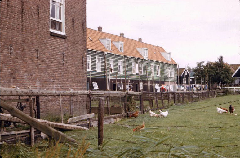 Houses with poultry and clotheslines, Marken Island, 1961
