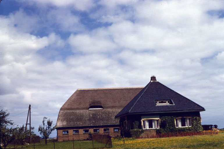 Rural house and its thatched-roof barn, somewhere in the Netherlands, 1961