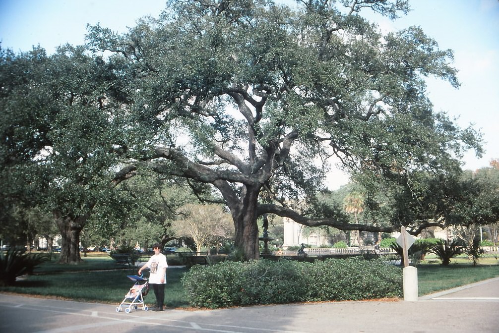 Audubon Park, New Orleans, 1990s