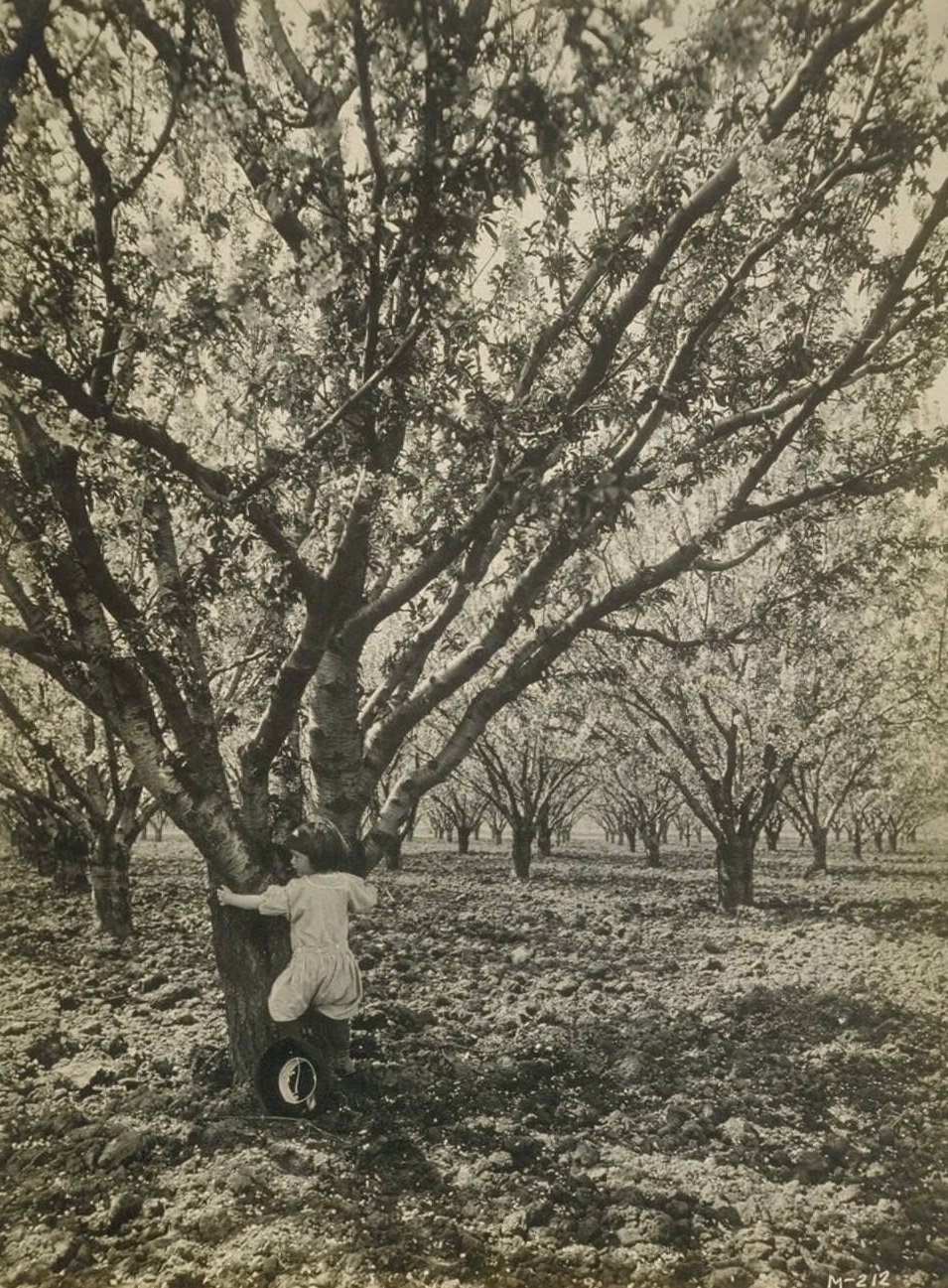 Girl at Hayward, 1930s