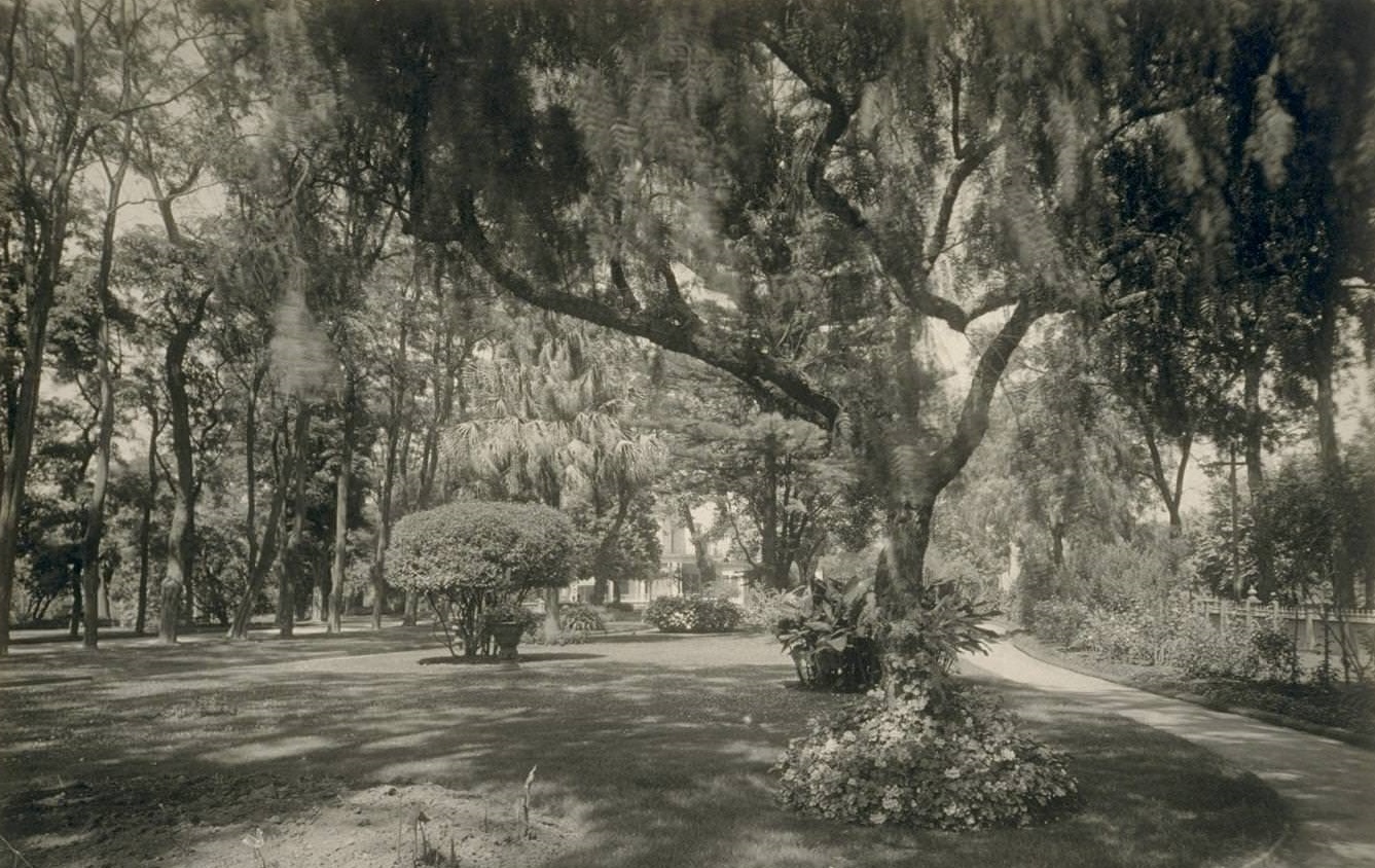 An Oakland Garden, 1930s