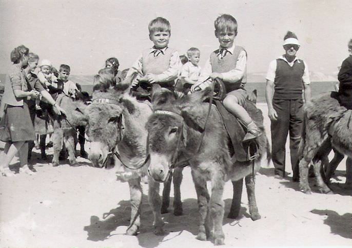 Historical Photos of People Enjoying Donkey Rides on the Beach from the Early 20th Century