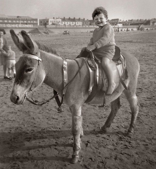 Historical Photos of People Enjoying Donkey Rides on the Beach from the Early 20th Century