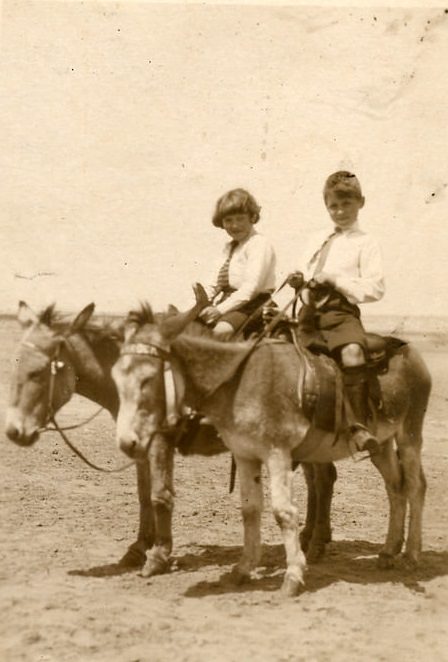 Historical Photos of People Enjoying Donkey Rides on the Beach from the Early 20th Century