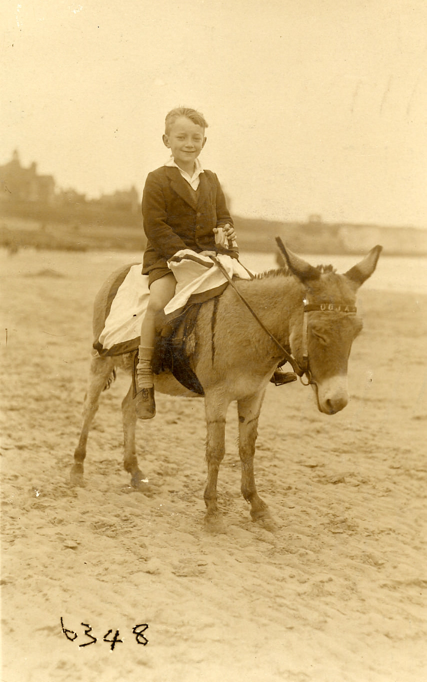 Historical Photos of People Enjoying Donkey Rides on the Beach from the Early 20th Century