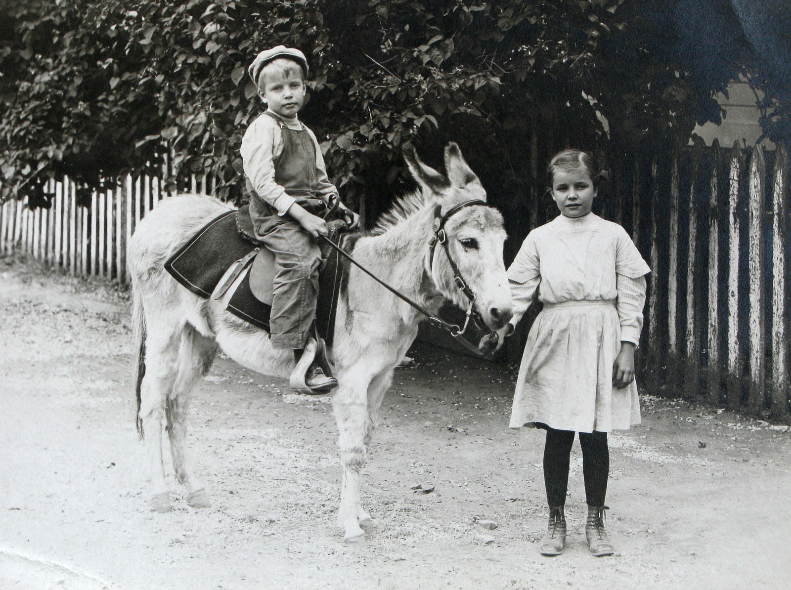 Historical Photos of People Enjoying Donkey Rides on the Beach from the Early 20th Century