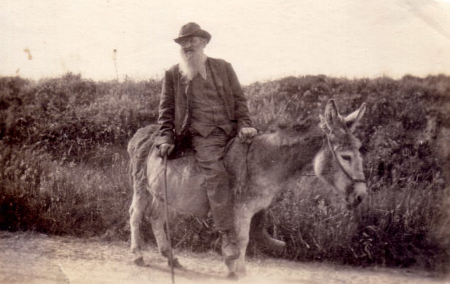 Historical Photos of People Enjoying Donkey Rides on the Beach from the Early 20th Century