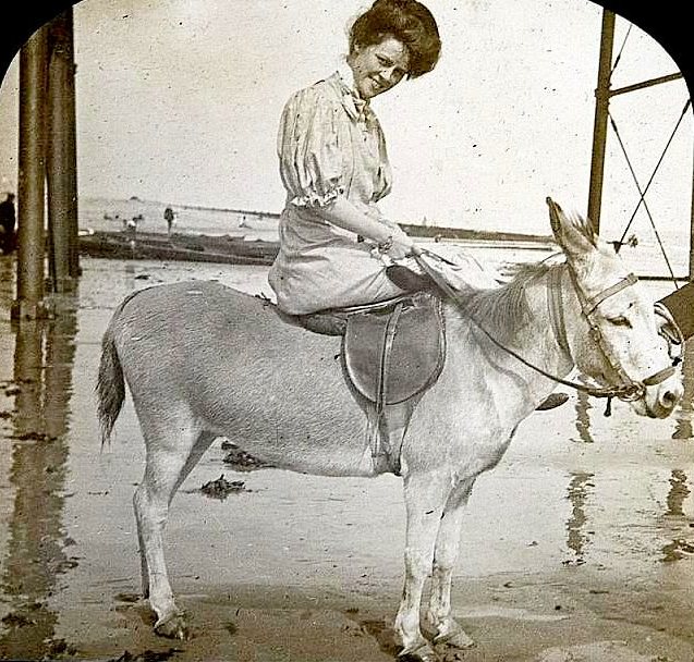 Historical Photos of People Enjoying Donkey Rides on the Beach from the Early 20th Century