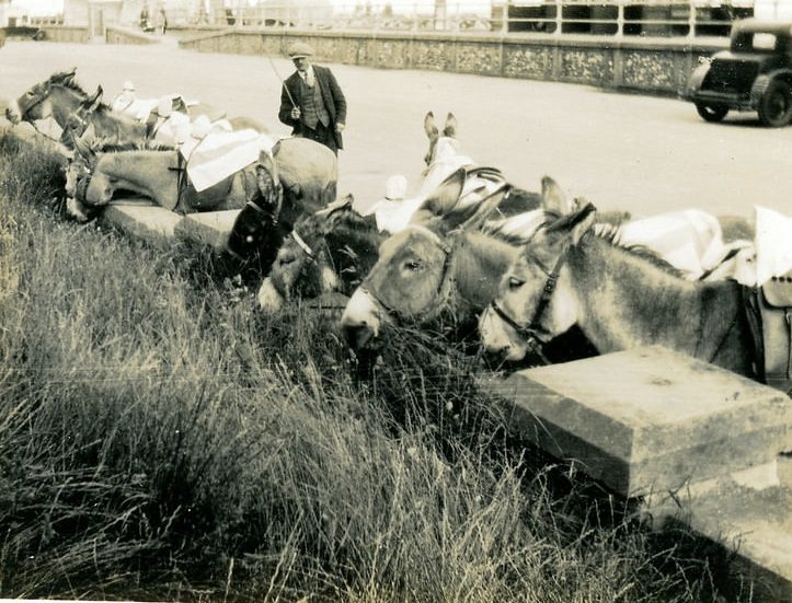 Historical Photos of People Enjoying Donkey Rides on the Beach from the Early 20th Century