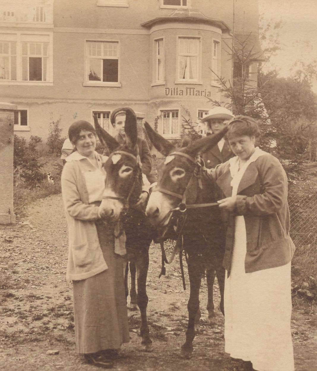 Historical Photos of People Enjoying Donkey Rides on the Beach from the Early 20th Century