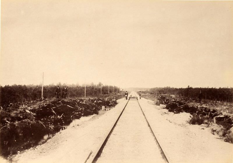 Railroad tracks through the Lasva Wetlands, June 15, 1889