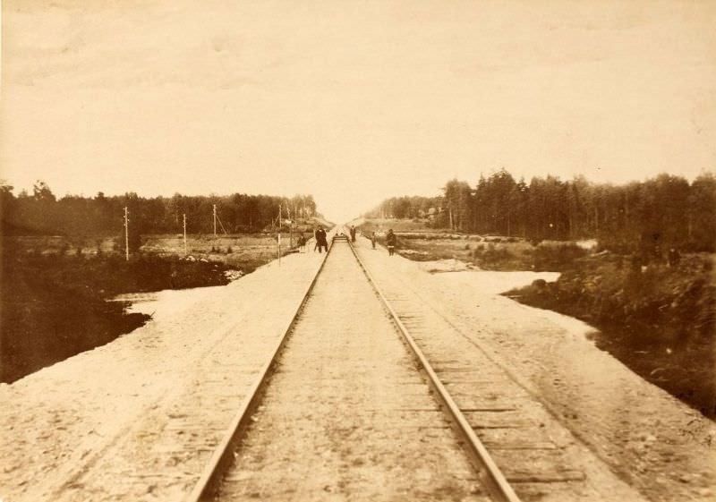 Railroad tracks through the Vastseliina Wetlands, June 15, 1889