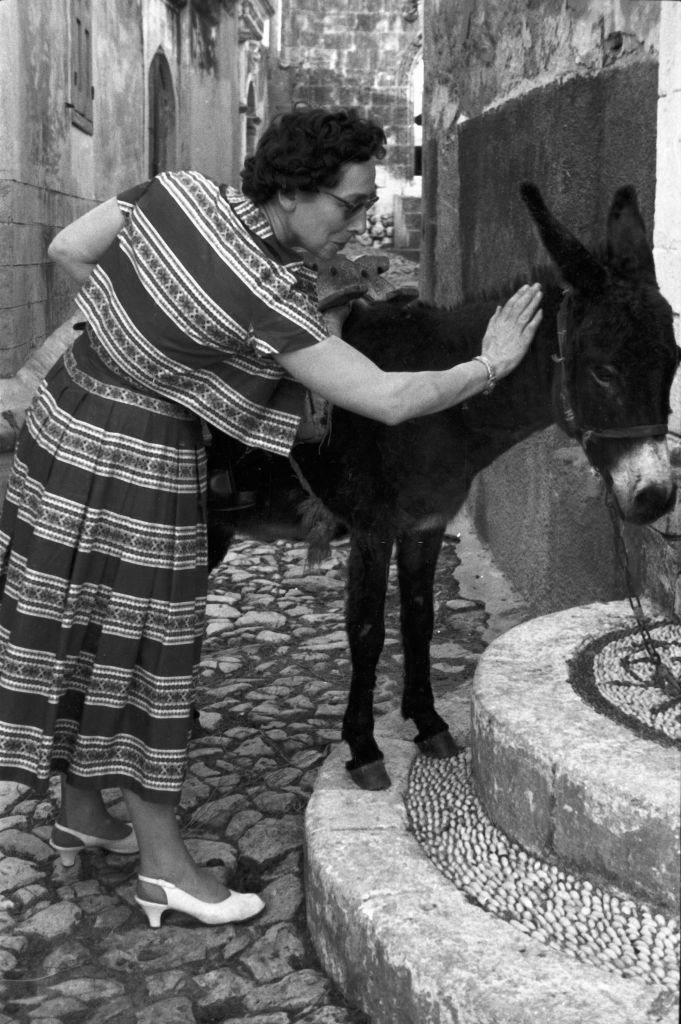 A tourist from Germany strokes a donkey on the island of Rhodes, Greece, 1950s.