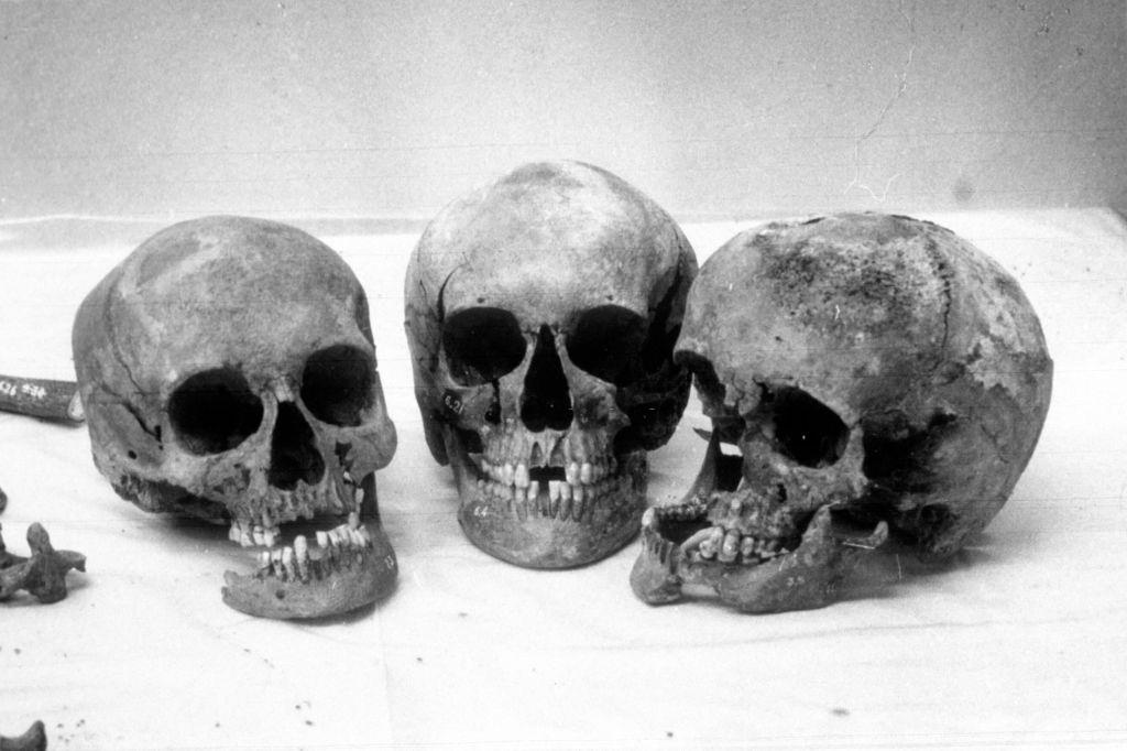 The bones were dug up in a forest near Yekaterinburg in 1991.