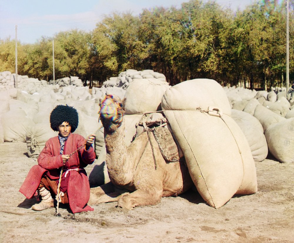 A man with a camel loaded with packs, 1910s