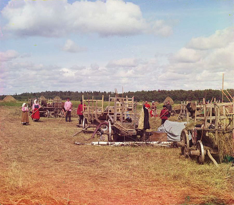 Haying, near rest time, 1909