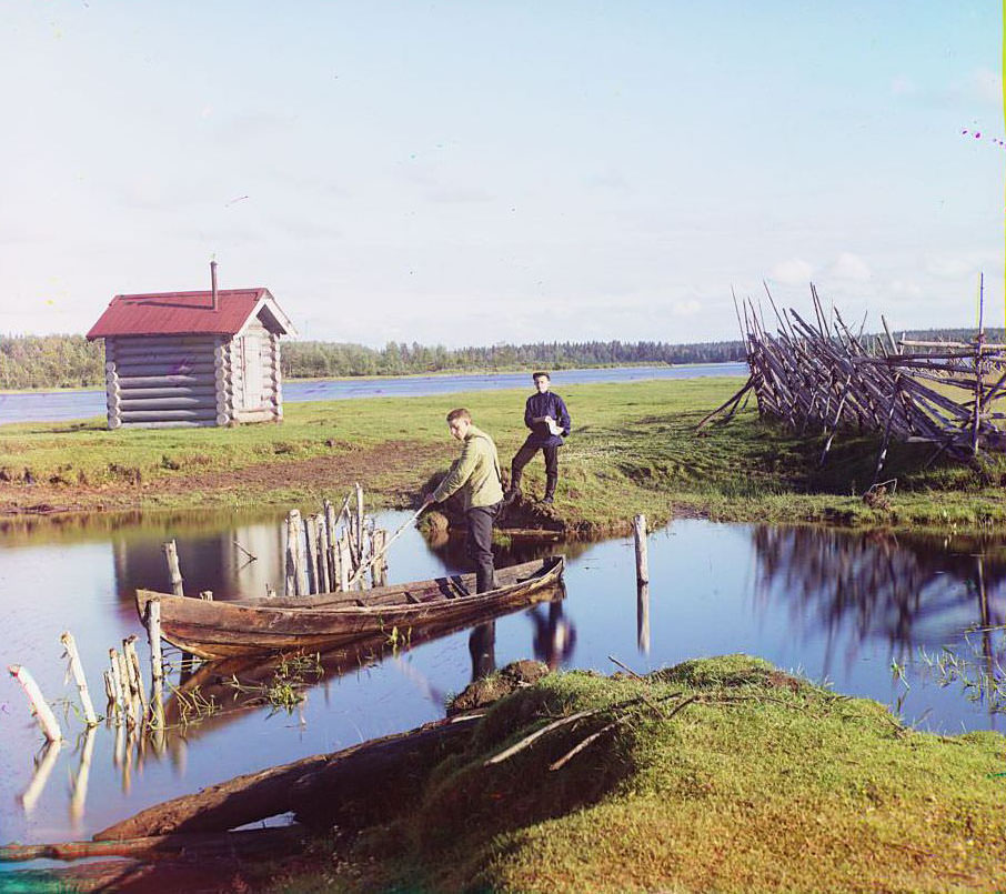 Ostrechiny. Study, 1909