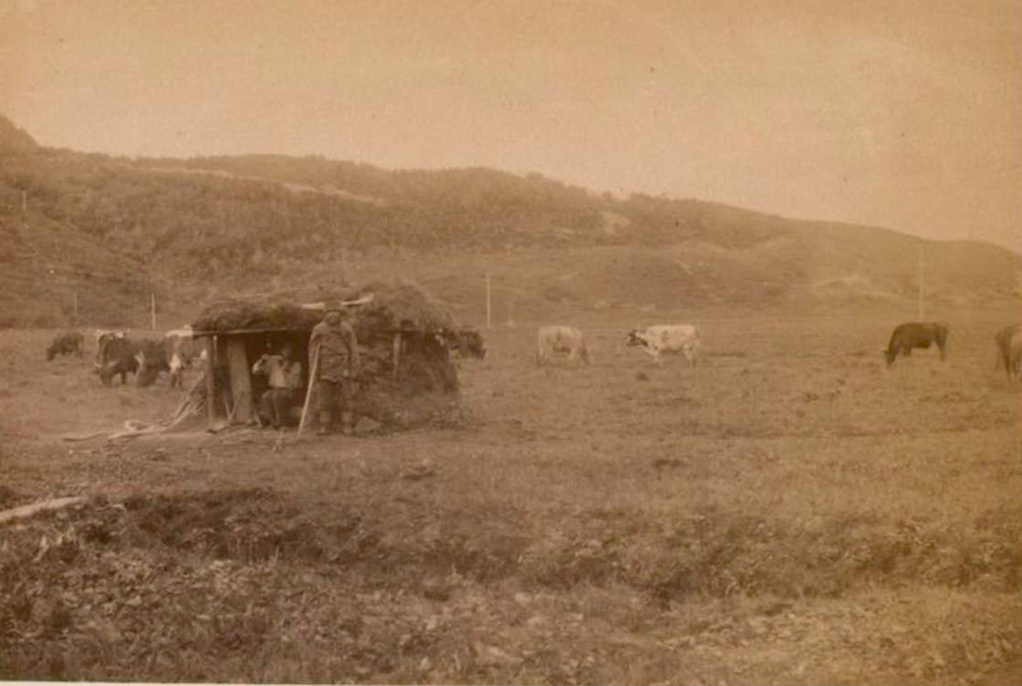 Rare Historical Photos of Sakhalin Island from the Late-19th Century