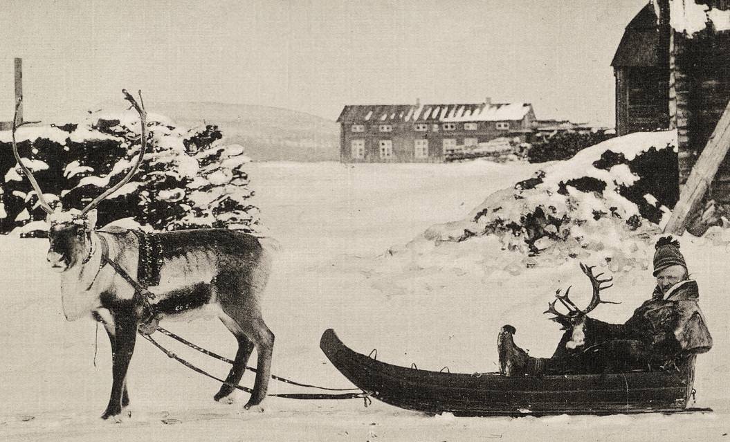 Sami man on Reindeer sledge in Lappland Sweden
