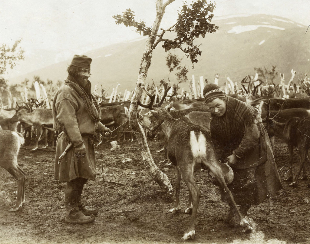 Sami Swedish nomad Sami 1880 - 1920