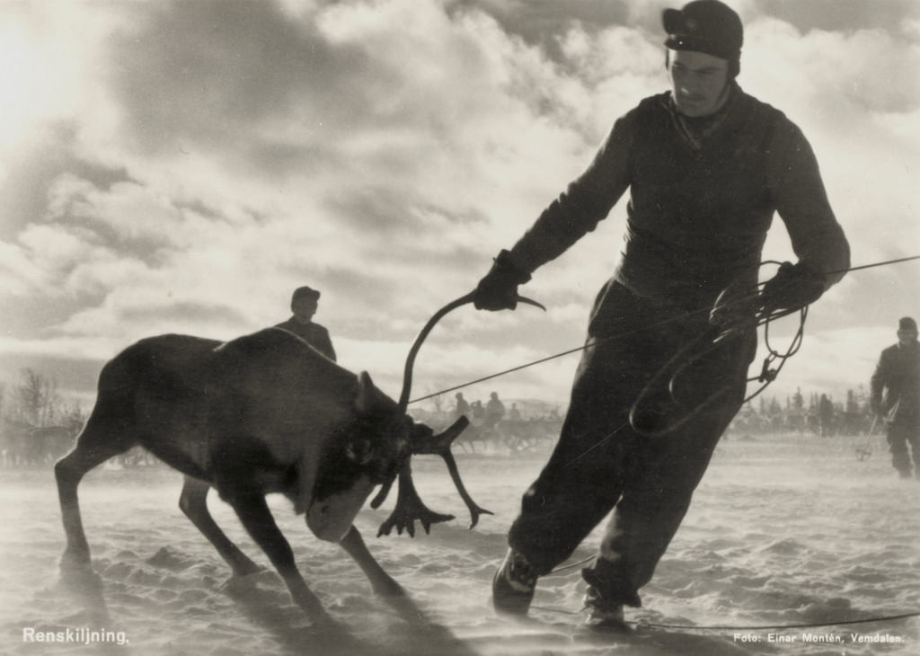 Sami reindeer herder from Sweden