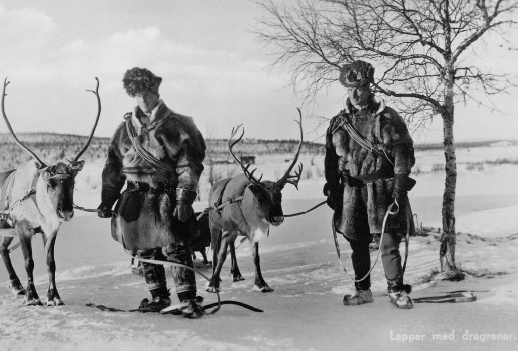 Sami men with transport reindeers
