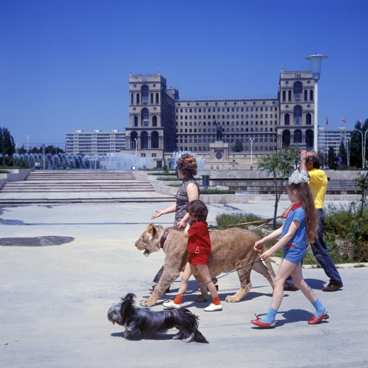 The Tragic Story of a Soviet Family Who Raised Lions as their Pets in the 1970s