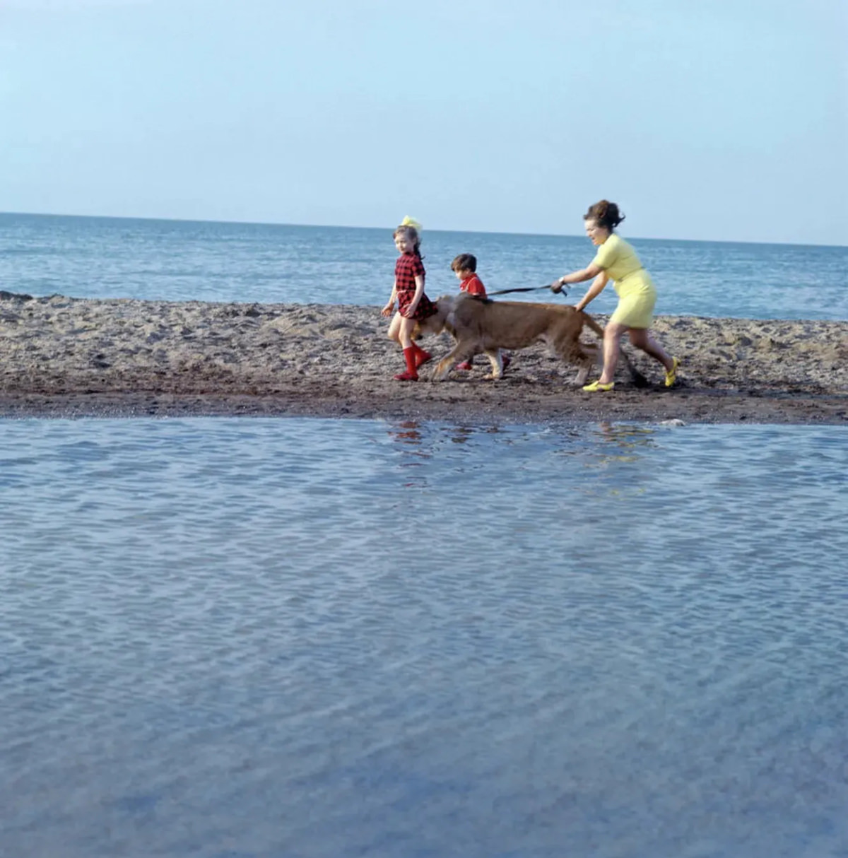 The Tragic Story of a Soviet Family Who Raised Lions as their Pets in the 1970s