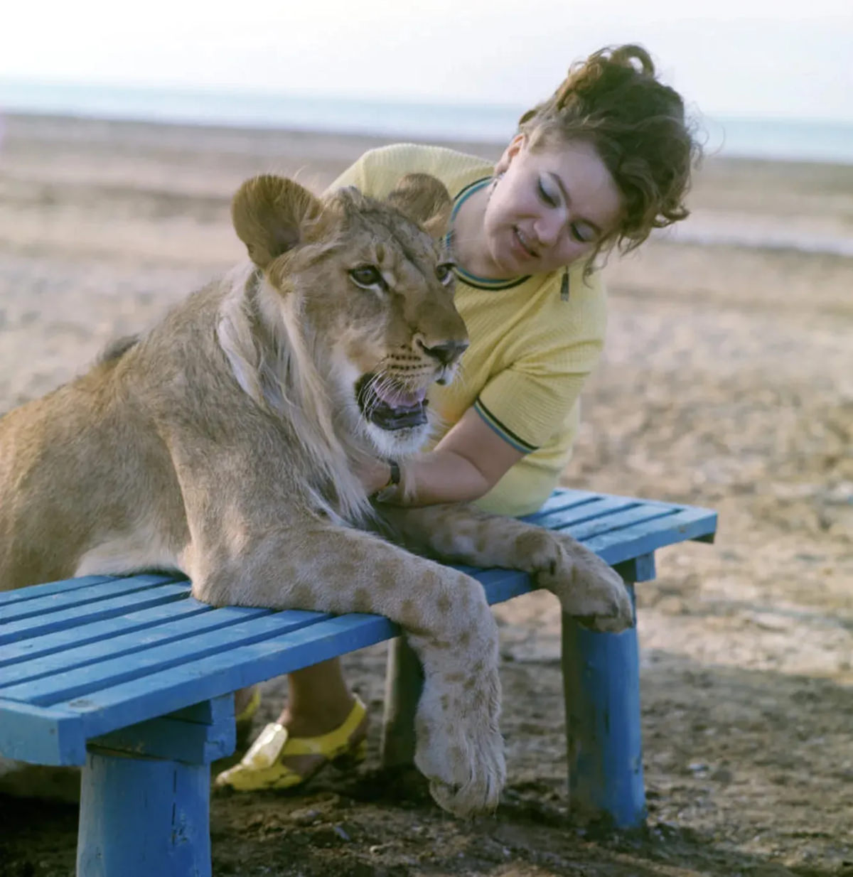 The Tragic Story of a Soviet Family Who Raised Lions as their Pets in the 1970s
