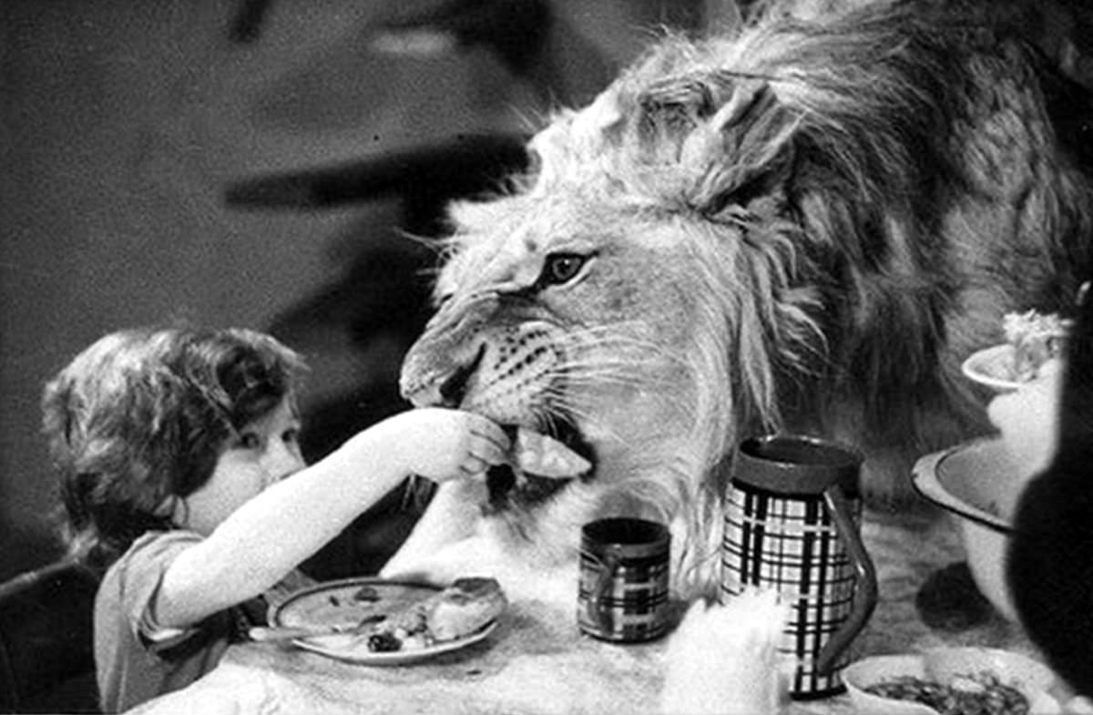 The Tragic Story of a Soviet Family Who Raised Lions as their Pets in the 1970s