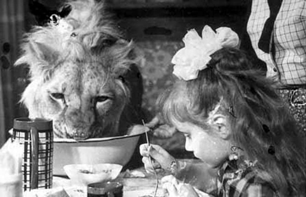 The Tragic Story of a Soviet Family Who Raised Lions as their Pets in the 1970s