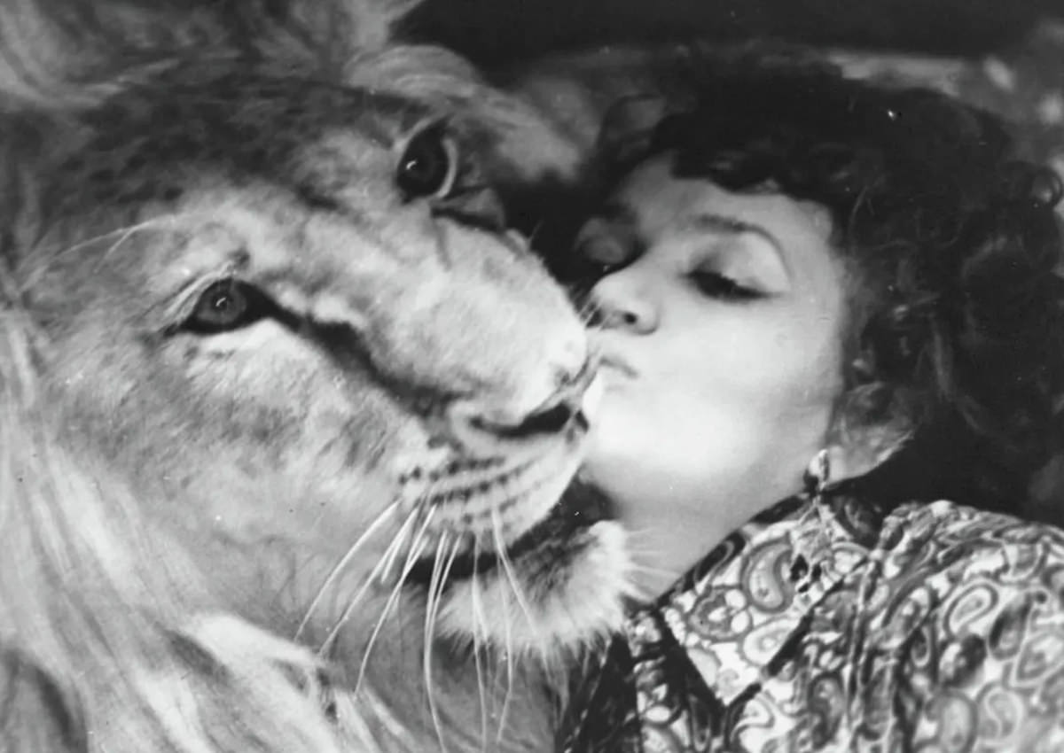 The Tragic Story of a Soviet Family Who Raised Lions as their Pets in the 1970s