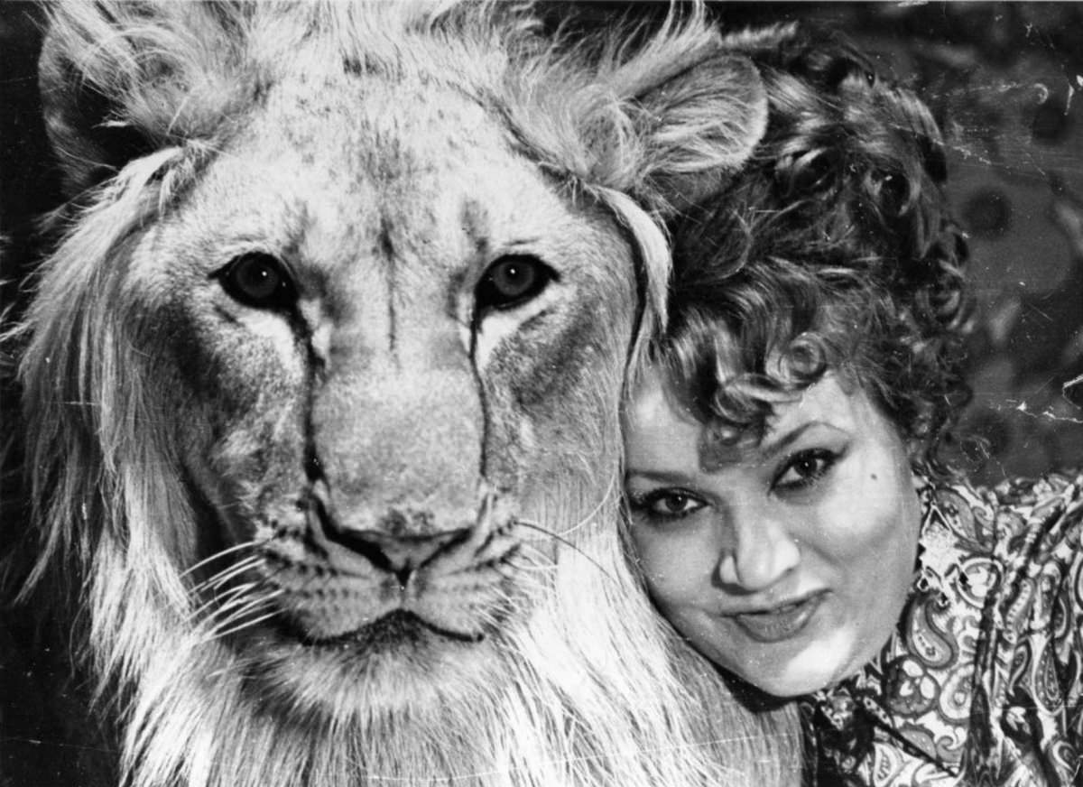 The Tragic Story of a Soviet Family Who Raised Lions as their Pets in the 1970s