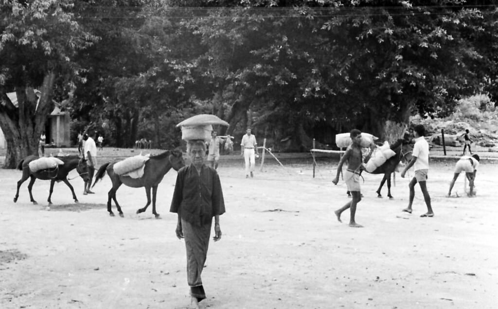 Bacau, Timor, 1970s