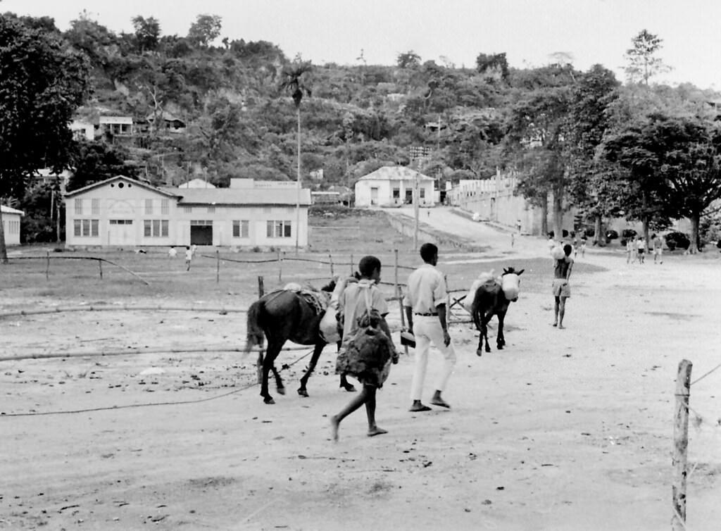 Bacau, Timor, 1970s