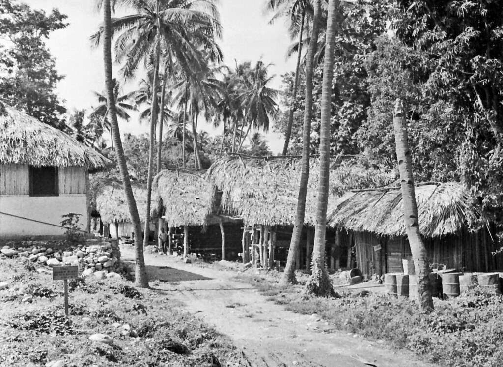 Timor, 1970s