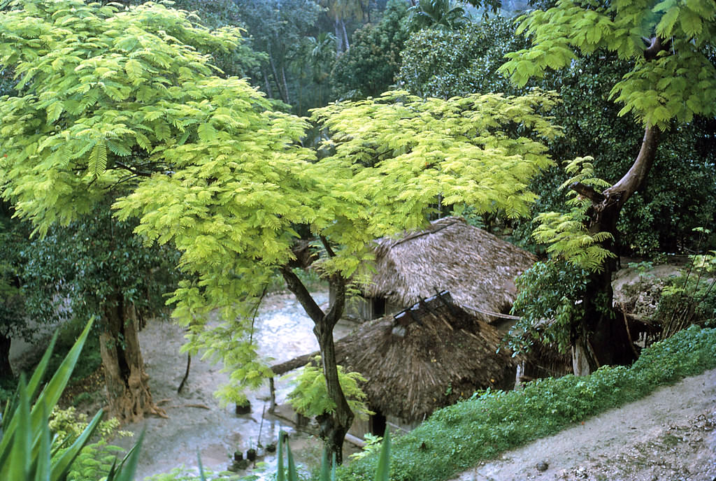 Bacau, Timor, 1970s