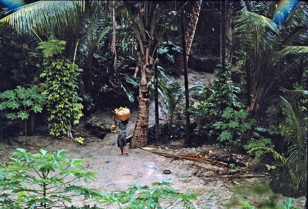 Bacau, Timor, 1970s