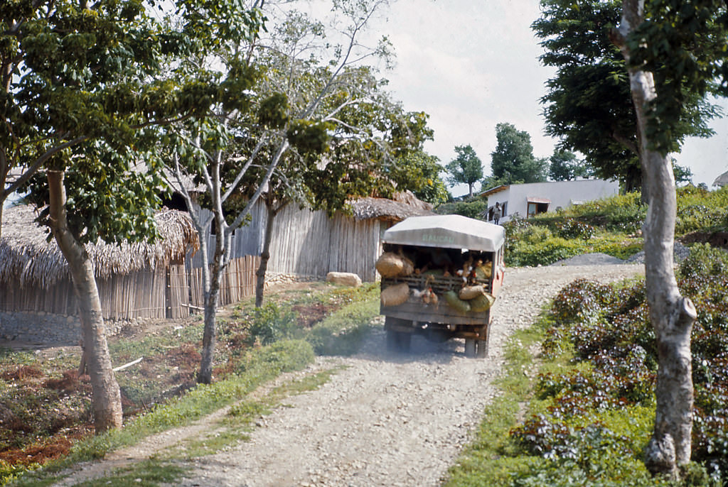 Timor bus, Timor, 1970s