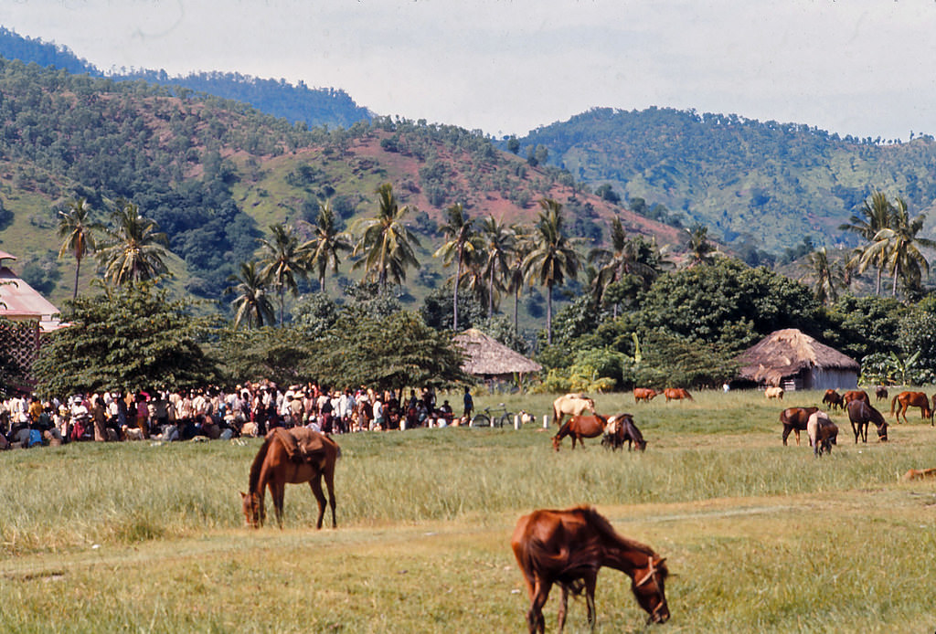 Dili Sunday market, Timor, 1970s